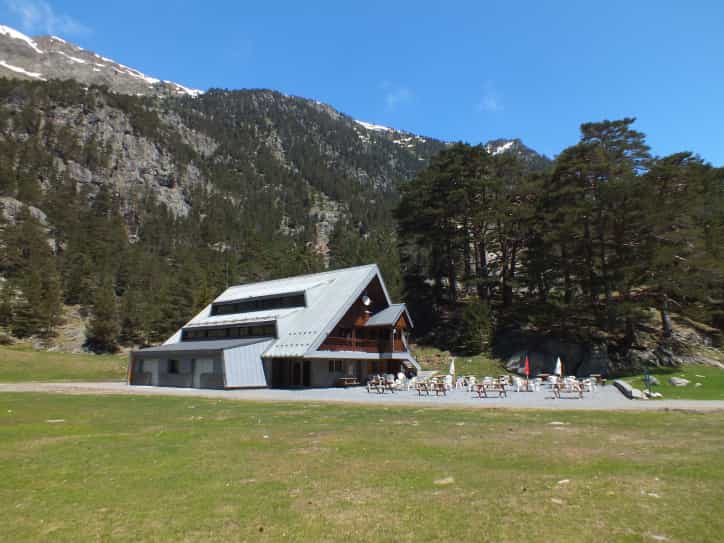 Chalet du Clot building with outdoor picnic tables against a backdrop of pine forest and snowy mountains.