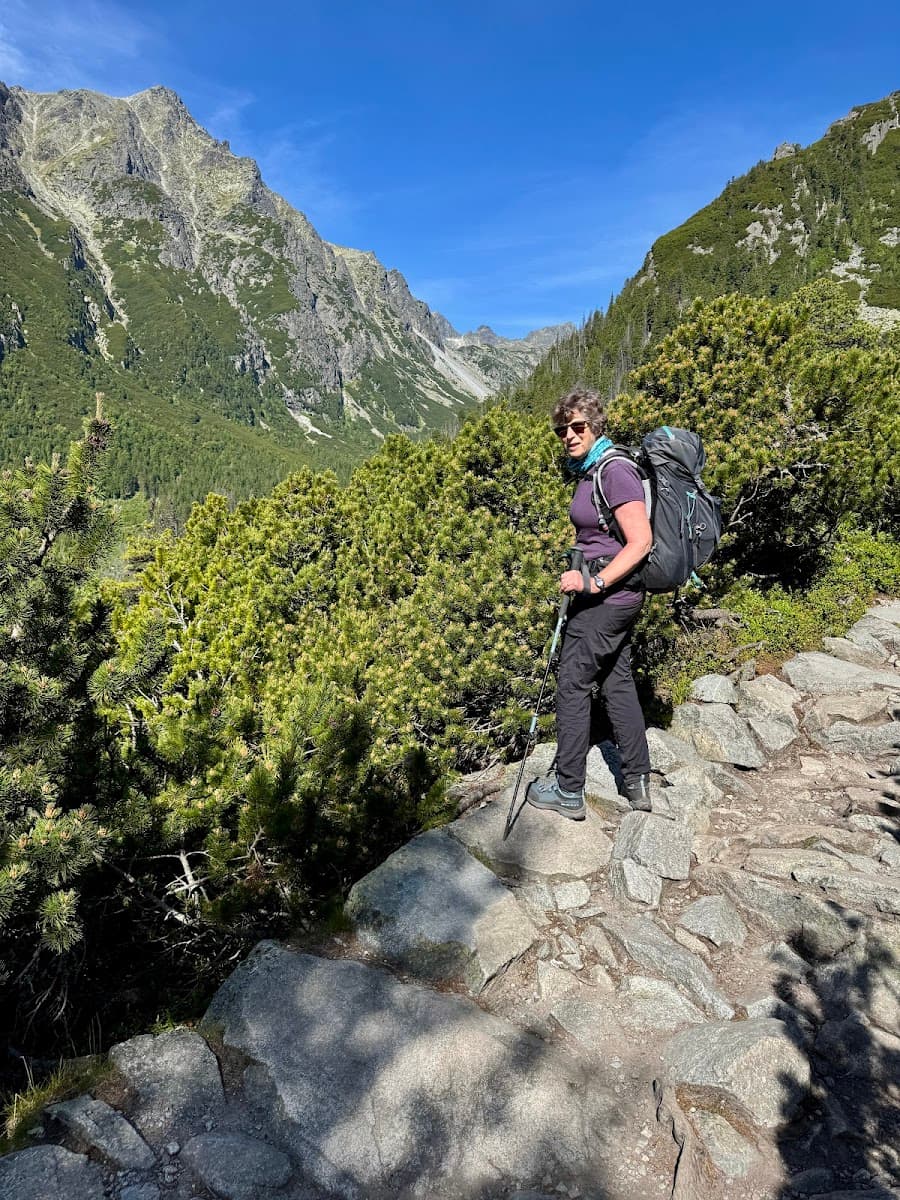 Hiker with backpack and trekking pole on rocky mountain trail surrounded by green pines.