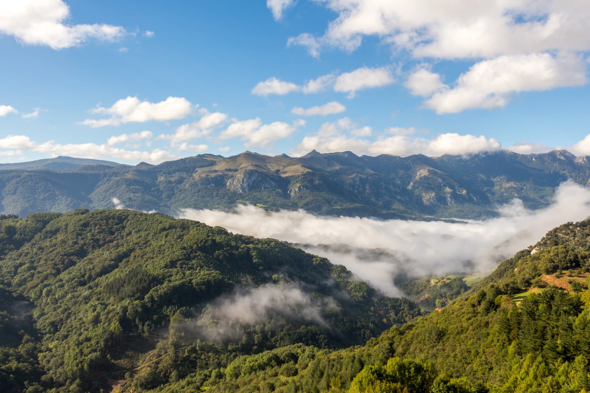 Landscape in the Spanish Pyrenees