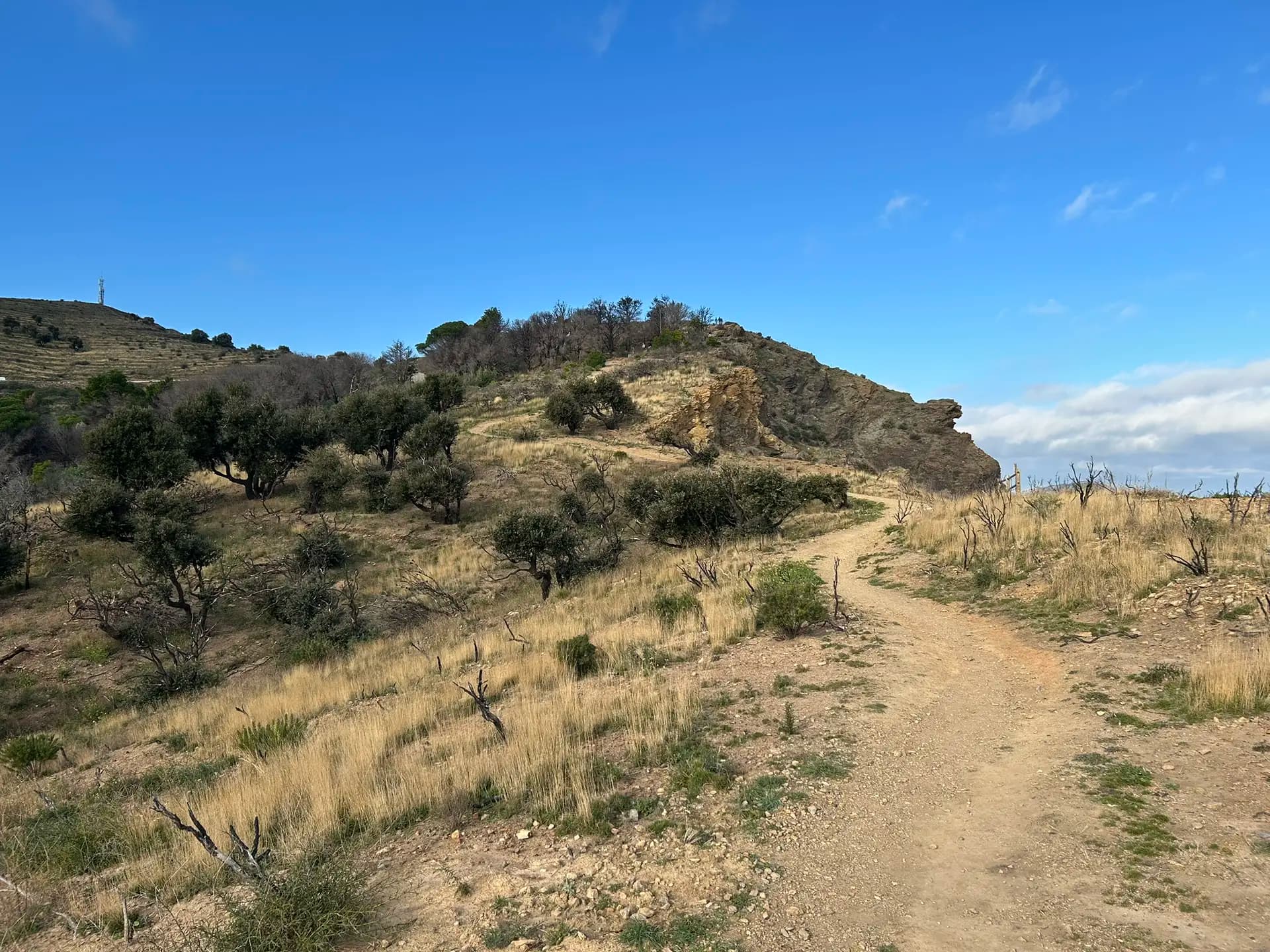 Dirt hiking trail winding through a dry, grassy hillside with scattered trees and rocky outcrops under a clear blue sky.