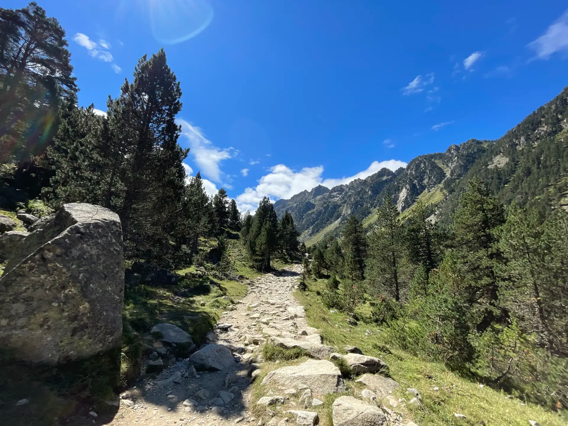 Rocky hiking trail through a mountain valley with pine trees and blue sky.