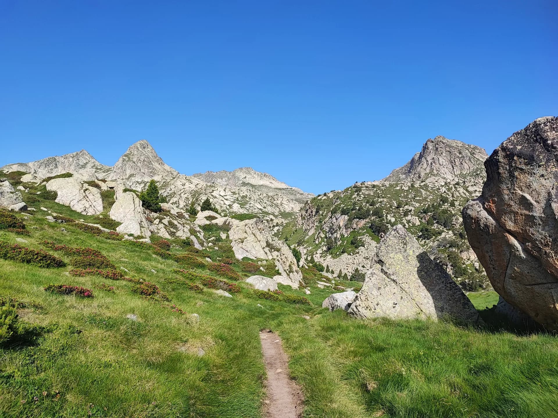 Hiking trail through a grassy mountain valley with rocky peaks and alpine flora under a clear blue sky.