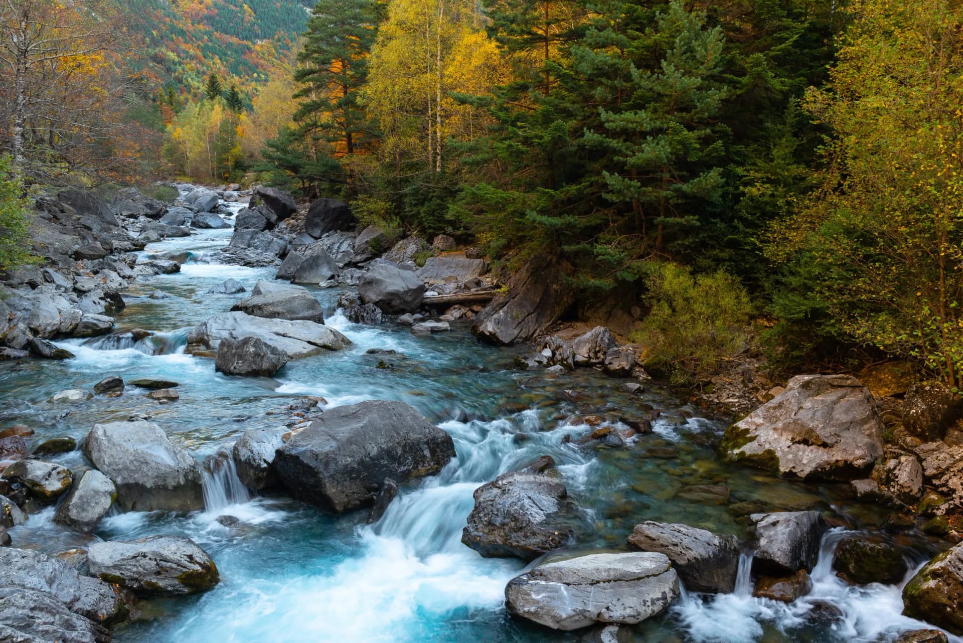 Ara River at Bujaruelo valley, Ordesa and Monte Perdido National Park, Huesca, Spain