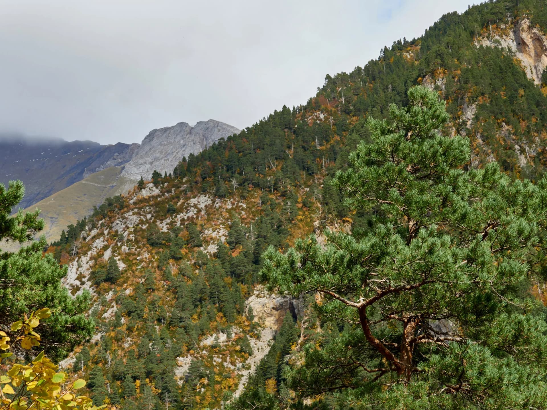 Views at the entrance to the Bujaruelo valley in autumn, Huesca, Spain.