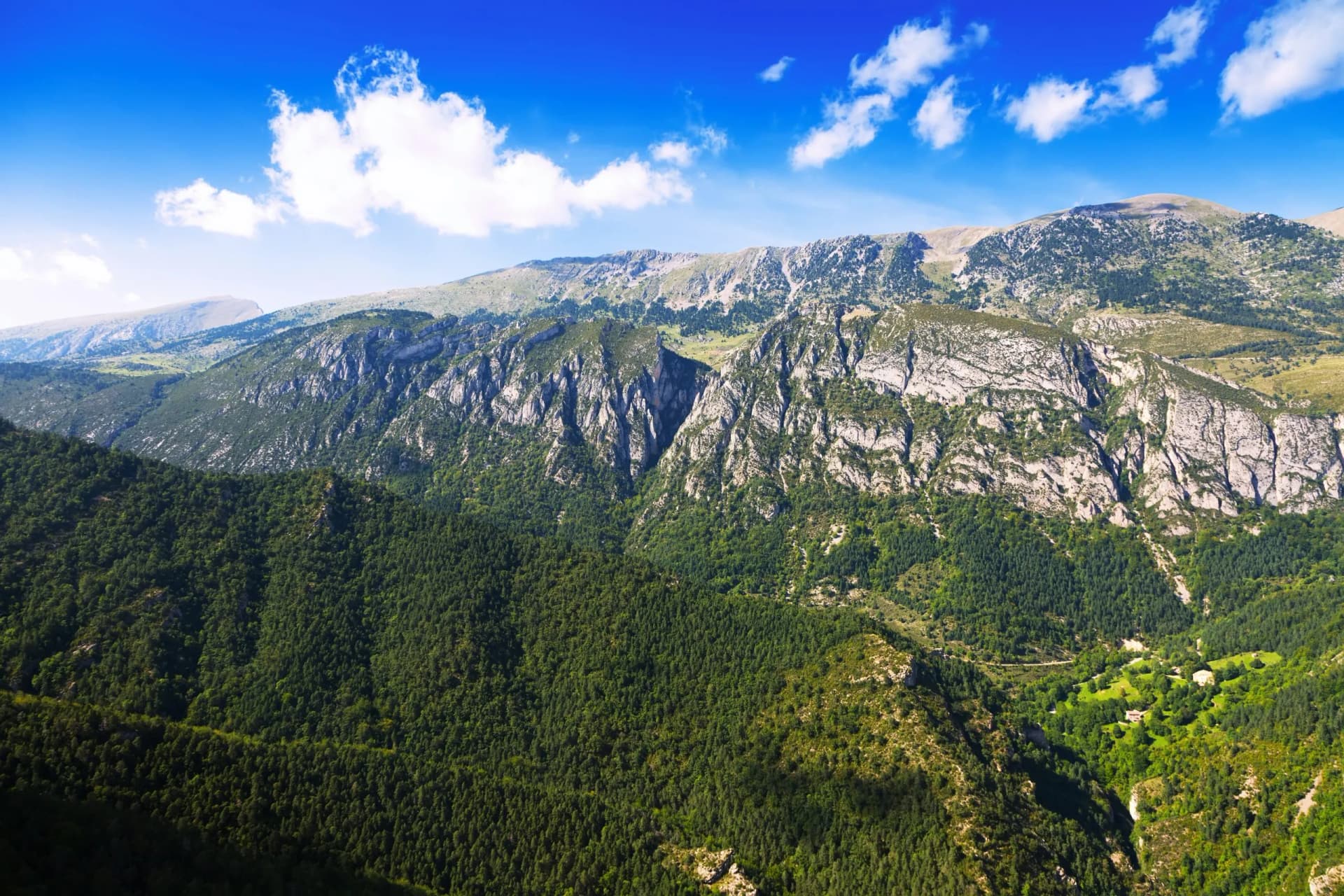 Summer mountains landscape