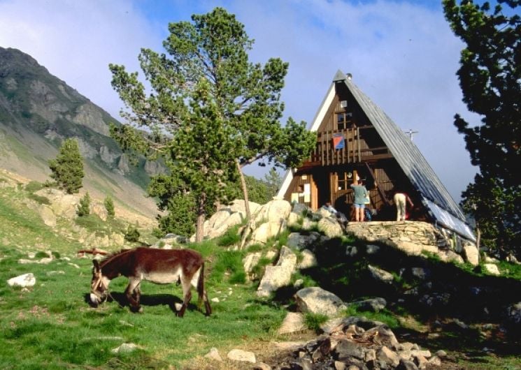 Donkey grazing near Refuge du Bastan wooden mountain hut with steep mountain slope background.