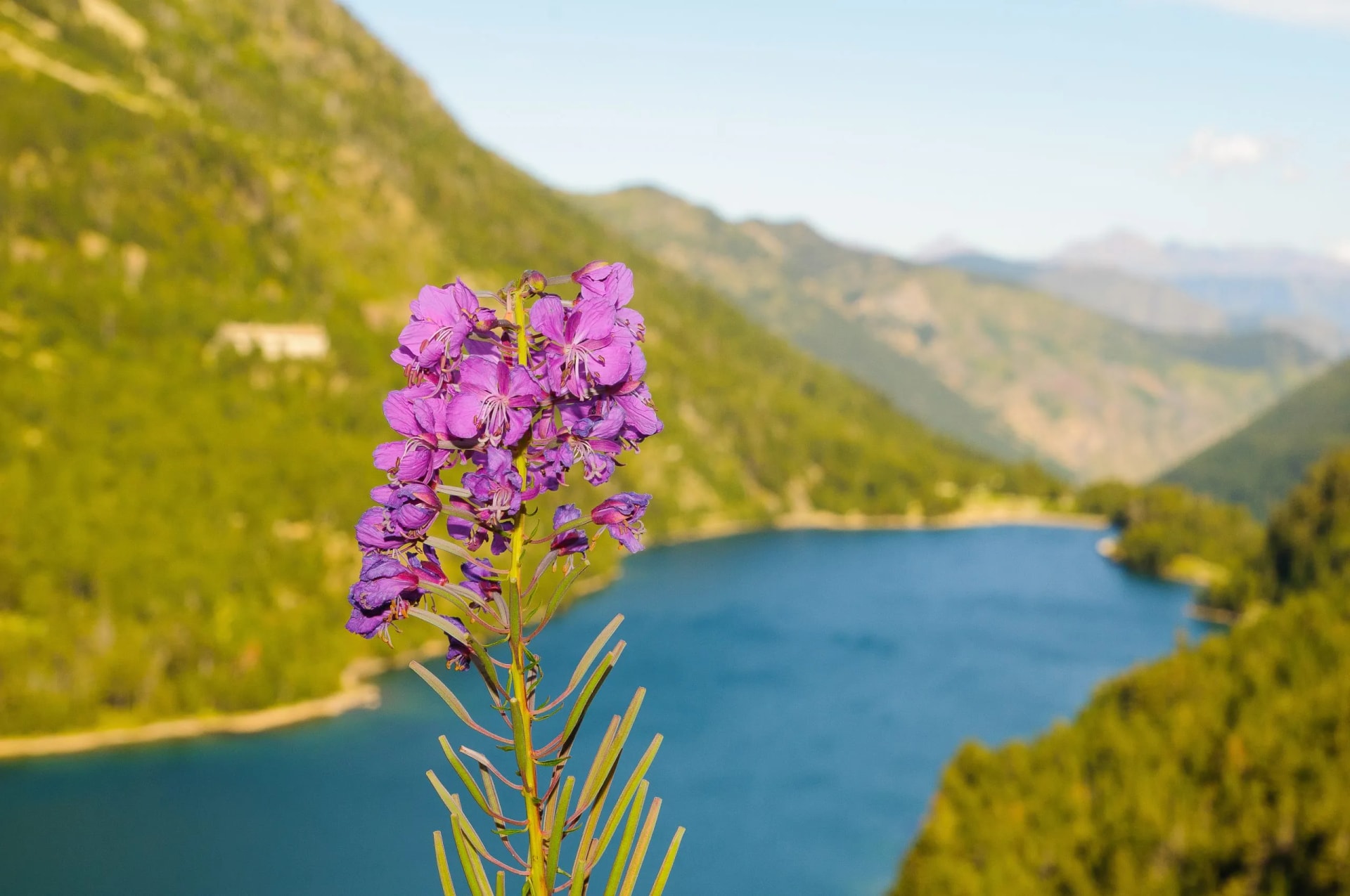 Sant Maurici Lake
