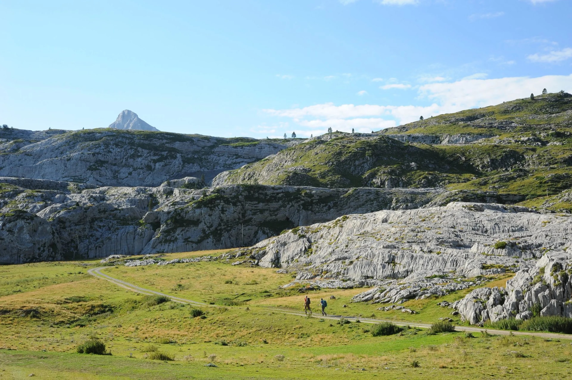 Sentier et randonneurs