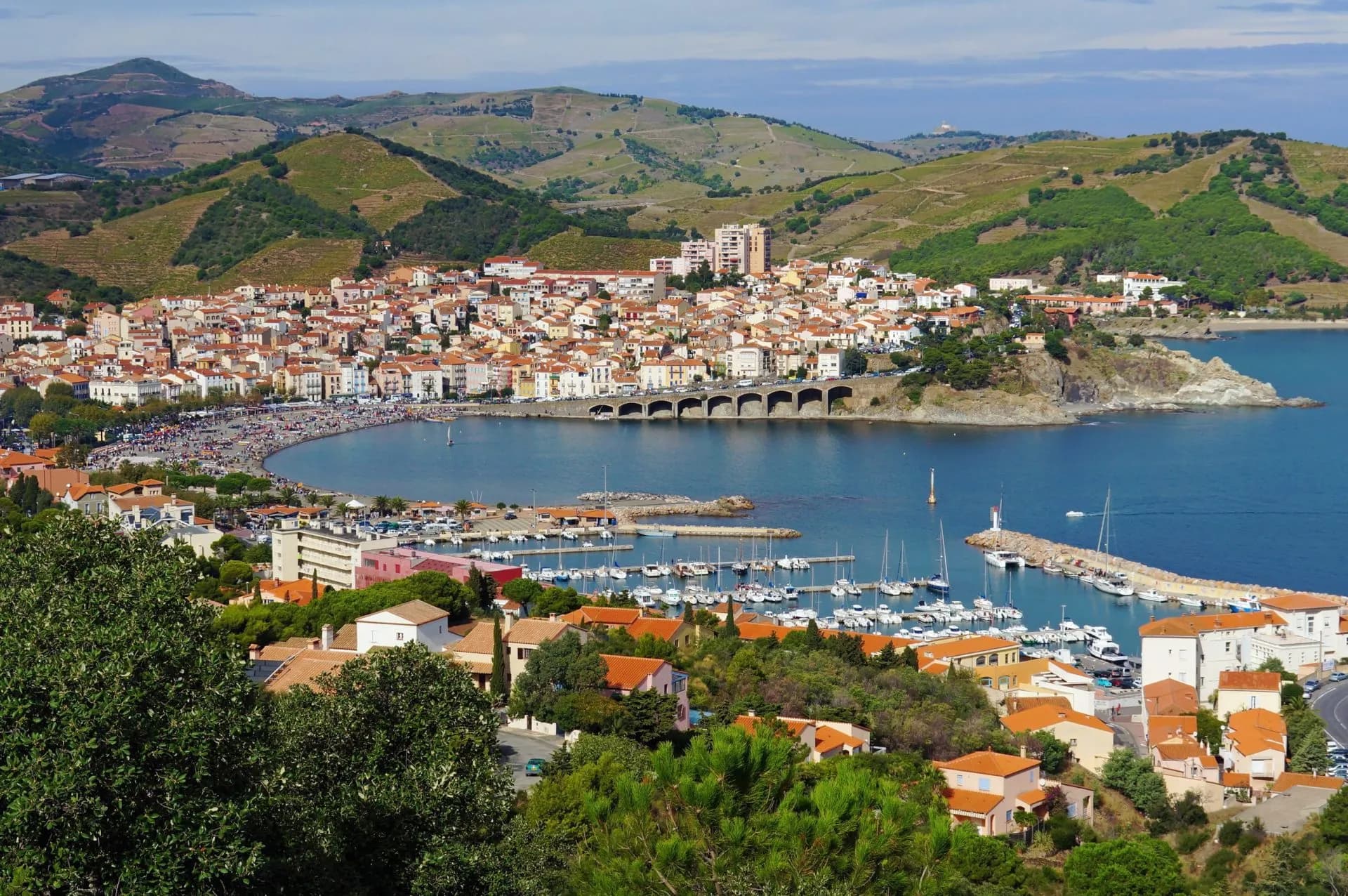 Coastal town of Banyuls-sur-Mer with harbor, beach, and terraced hillsides.