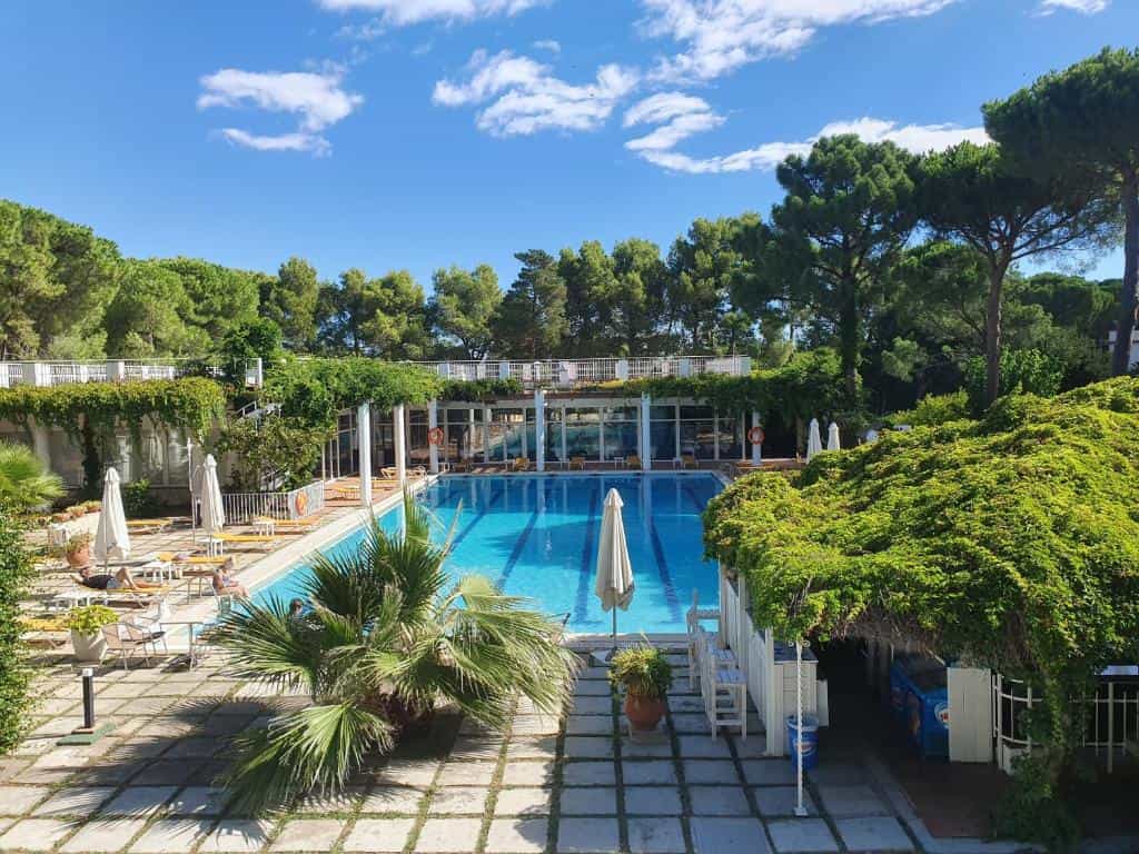 Outdoor swimming pool surrounded by pine trees and lush greenery under a blue sky.