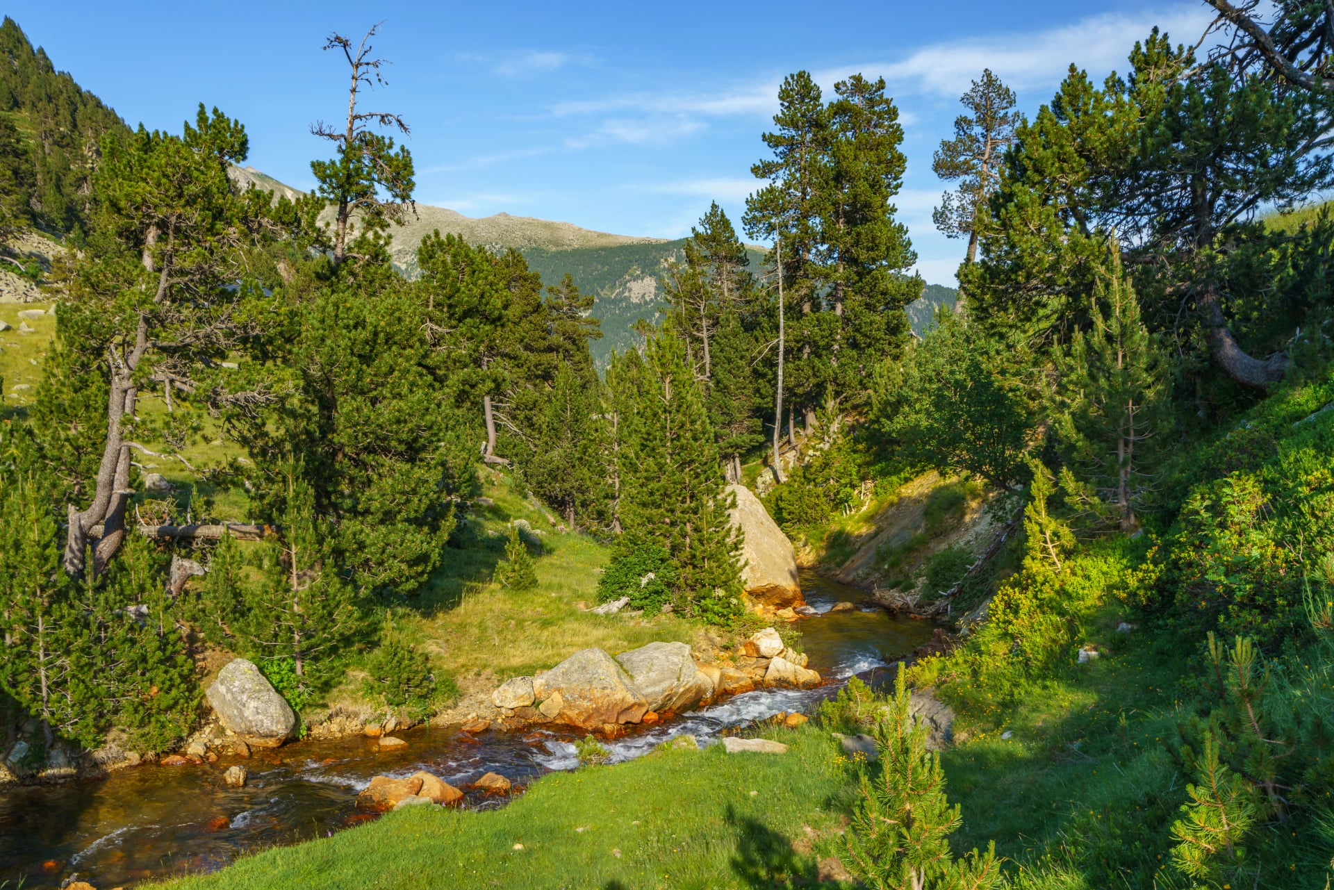 River in Valle de Boi, Parc Nacional d'Aigüestortes i Estany de Sant Maurici