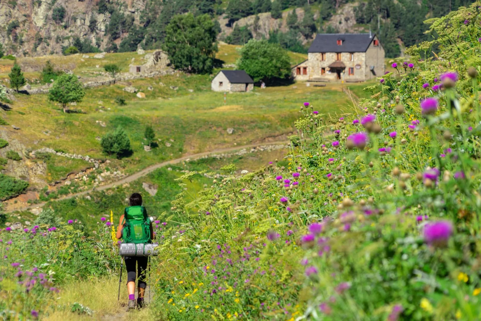 granjas de biadós, Valle de Añes Cruces