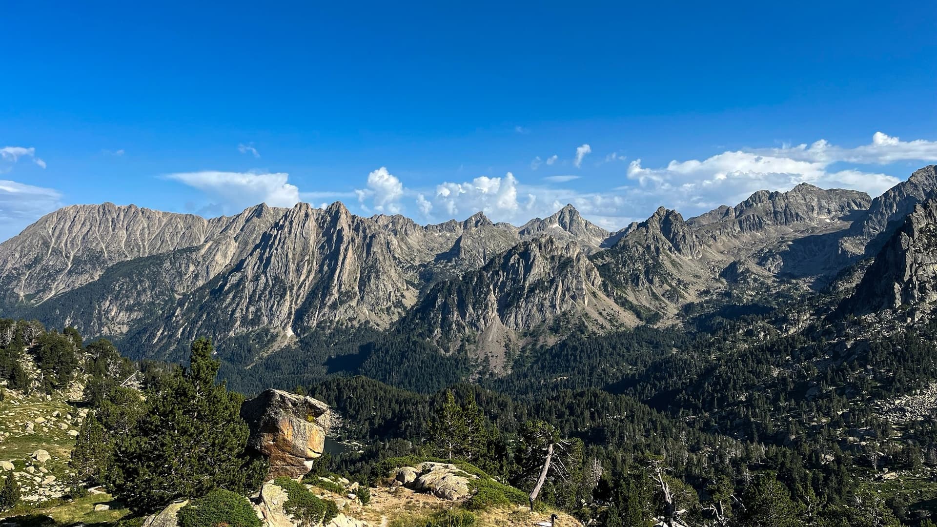 Jagged mountain ridge rising above dense pine forest under blue sky