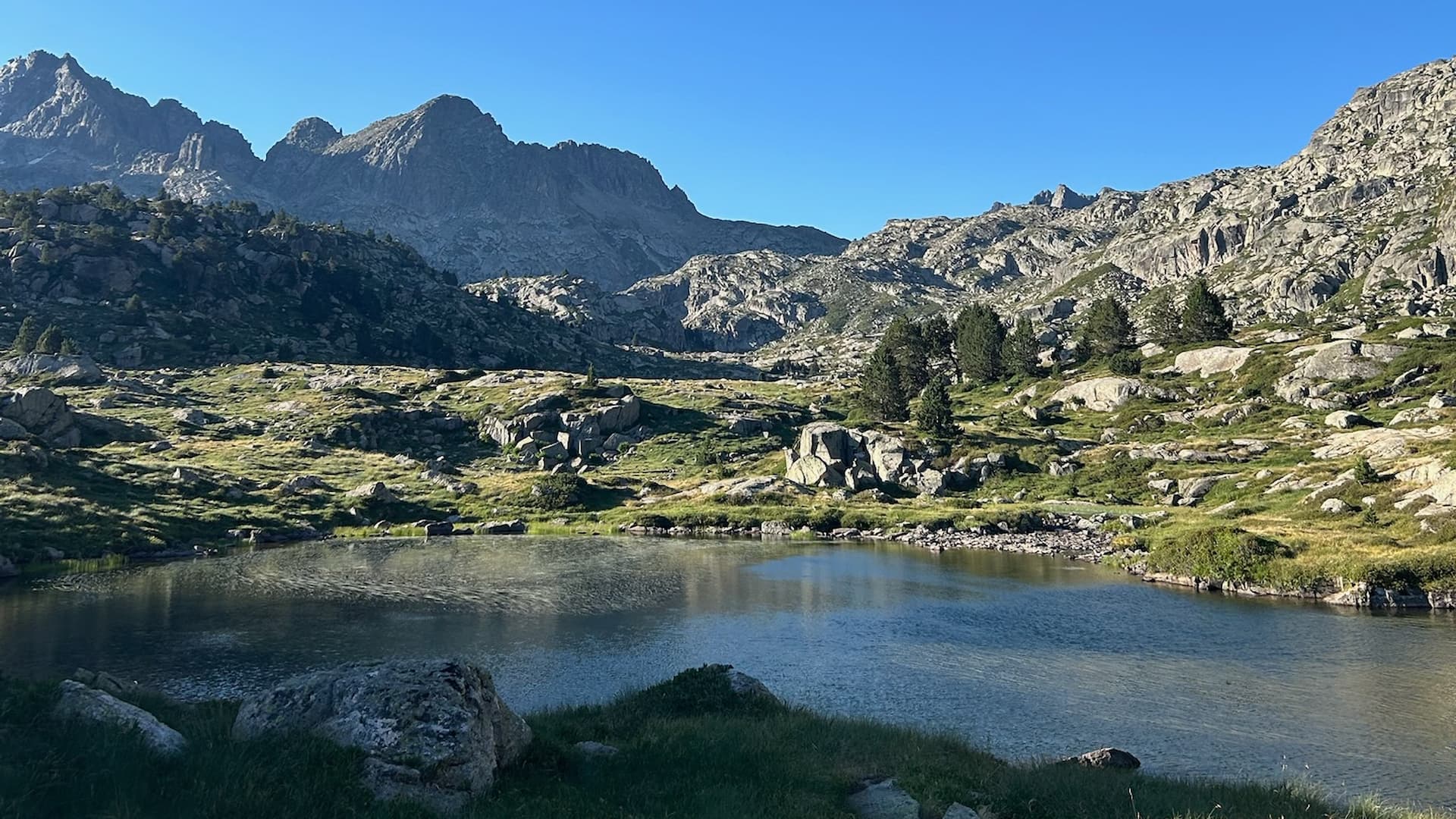 Alpine lake below rugged granite peaks with sparse pine trees and grassy shoreline